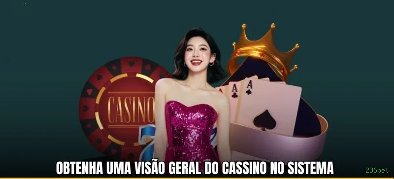 Segurança 236bet SSL